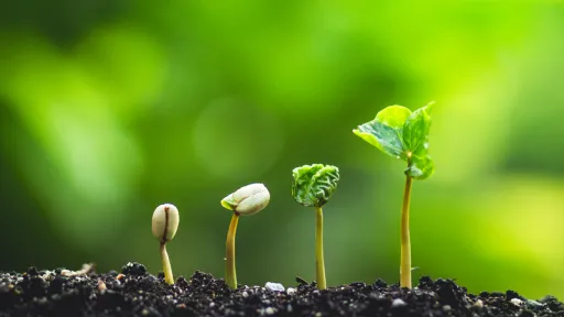 Bild till ge en g&aring;va